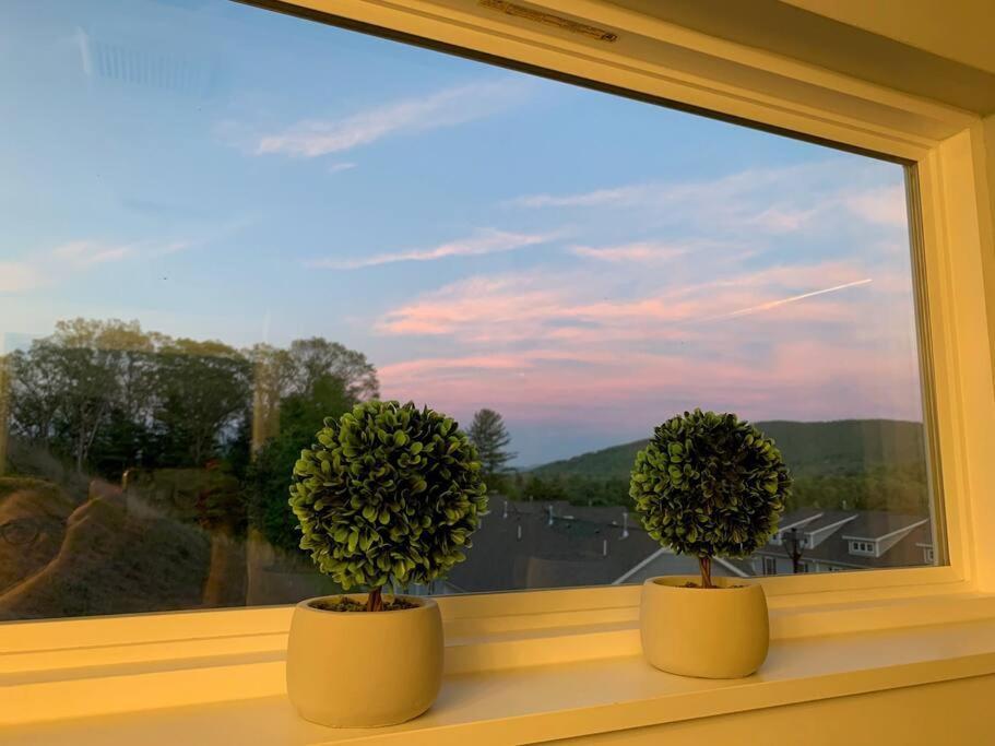 Newly Built Townhome Close To The Asheville Sites Candler Bagian luar foto